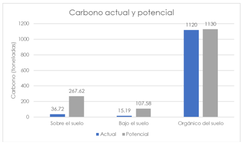 Gráfico correspondiente al carbono actual y potencial