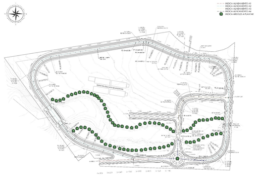 Planta conjunto proyecto carretera interna