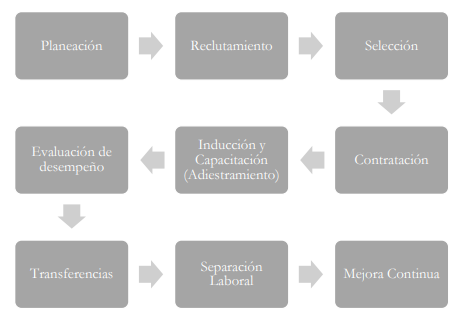 Diagrama de bloques que muestra cada fase del proceso de dotación de talento humano