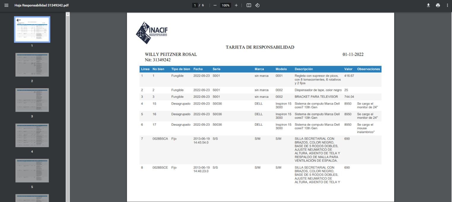 Reporte de la tarjeta de responsabilidad con formato simple
